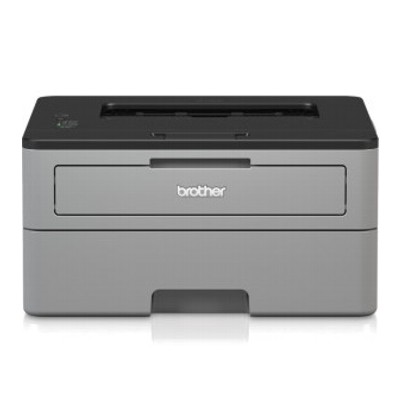 Printer Brother HL-L2352DW