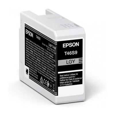 Original OEM Ink Cartridge Epson T46S9 (C13T46S900) (Light gray)