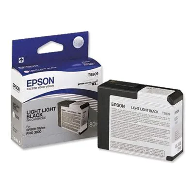 Original OEM Ink Cartridge Epson T5809 (C13T580900) (Light light black)