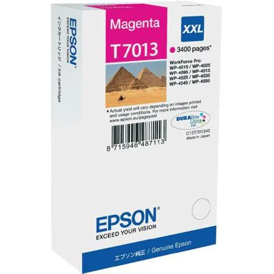 Original OEM Ink Cartridge Epson T7013 (C13T70134010) (Magenta)