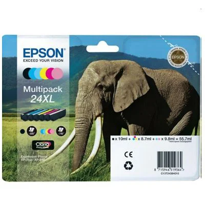 Original OEM Ink Cartridges Epson T2438 (C13T24384010) (multi pack)