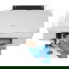 Epson Stylus DX3800